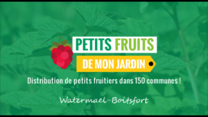 #Petits fruits - en échange d'un petit fruitier, semez vos idées ! @ Place Payfa